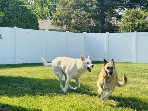 Photo From Customer Review